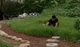 寸草不留,荒芜之地的重生与希望